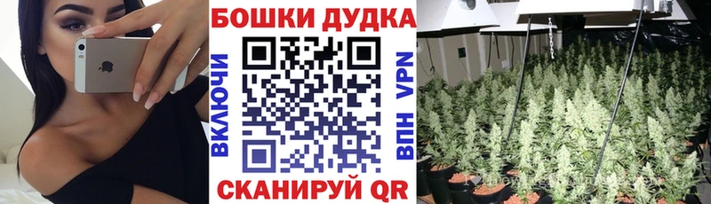 Купить наркотик аптеки Канаш Конопля А ПВП Меф COCAIN