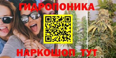 стафф Волгодонск