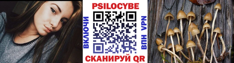 Галлюциногенные грибы Psilocybe закладка Канаш