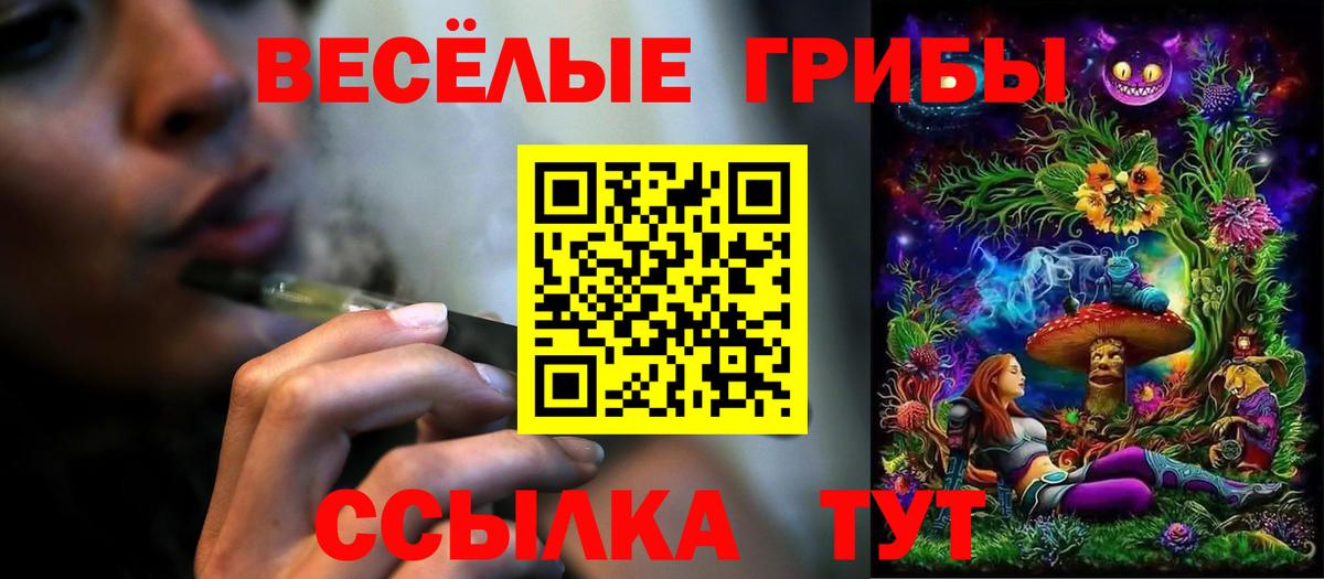 Галлюциногенные грибы прущие грибы Канаш