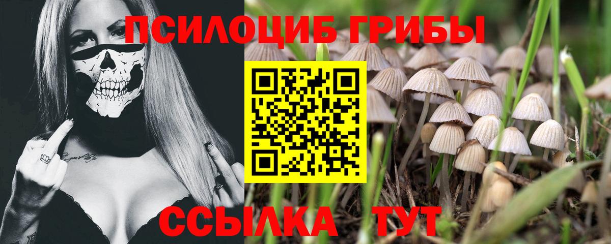 A-PVP Канаш
